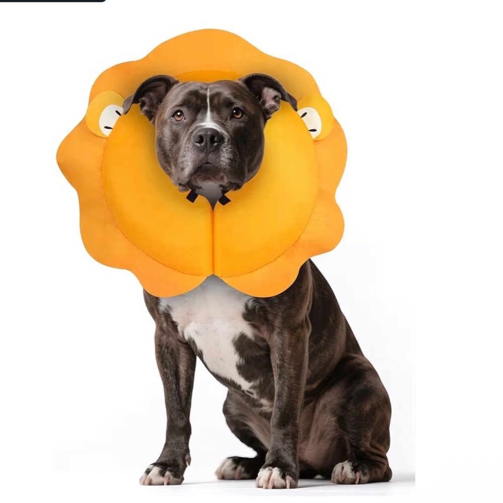 Lion Pet Recovery Collar for Dogs - Soft Inflatable Cone
